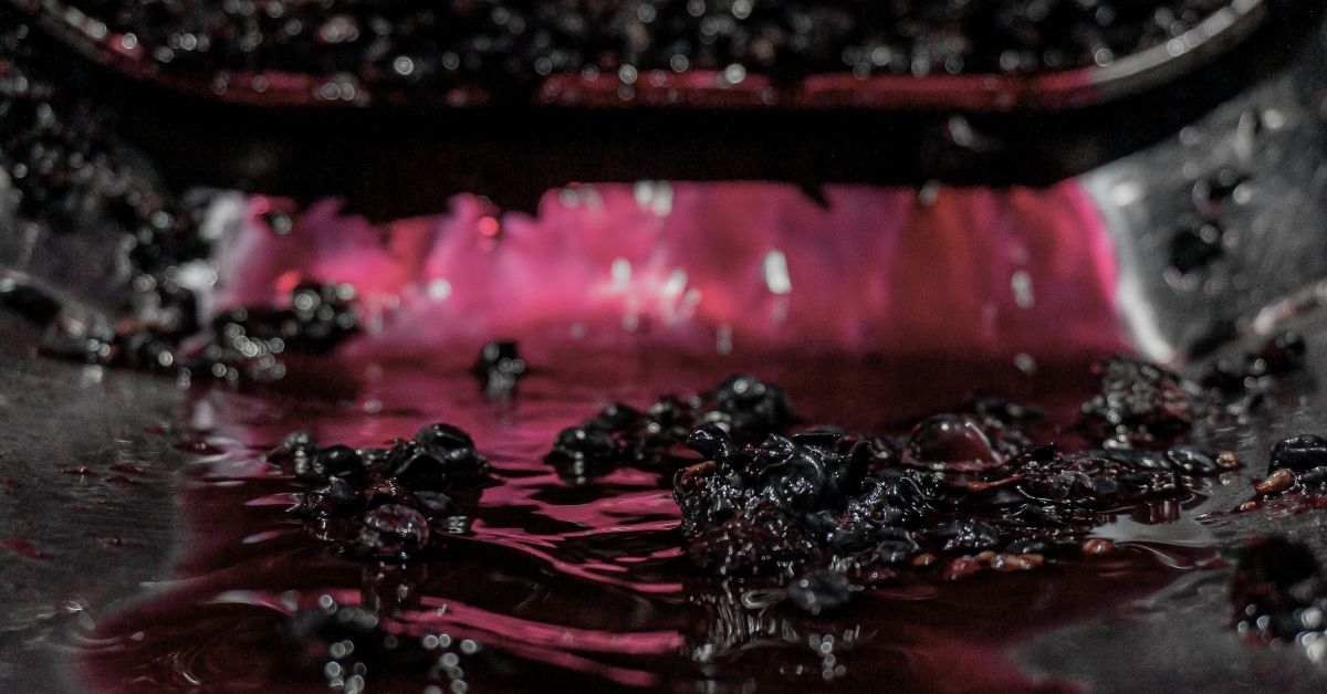 What does “Organic Wine” really mean?